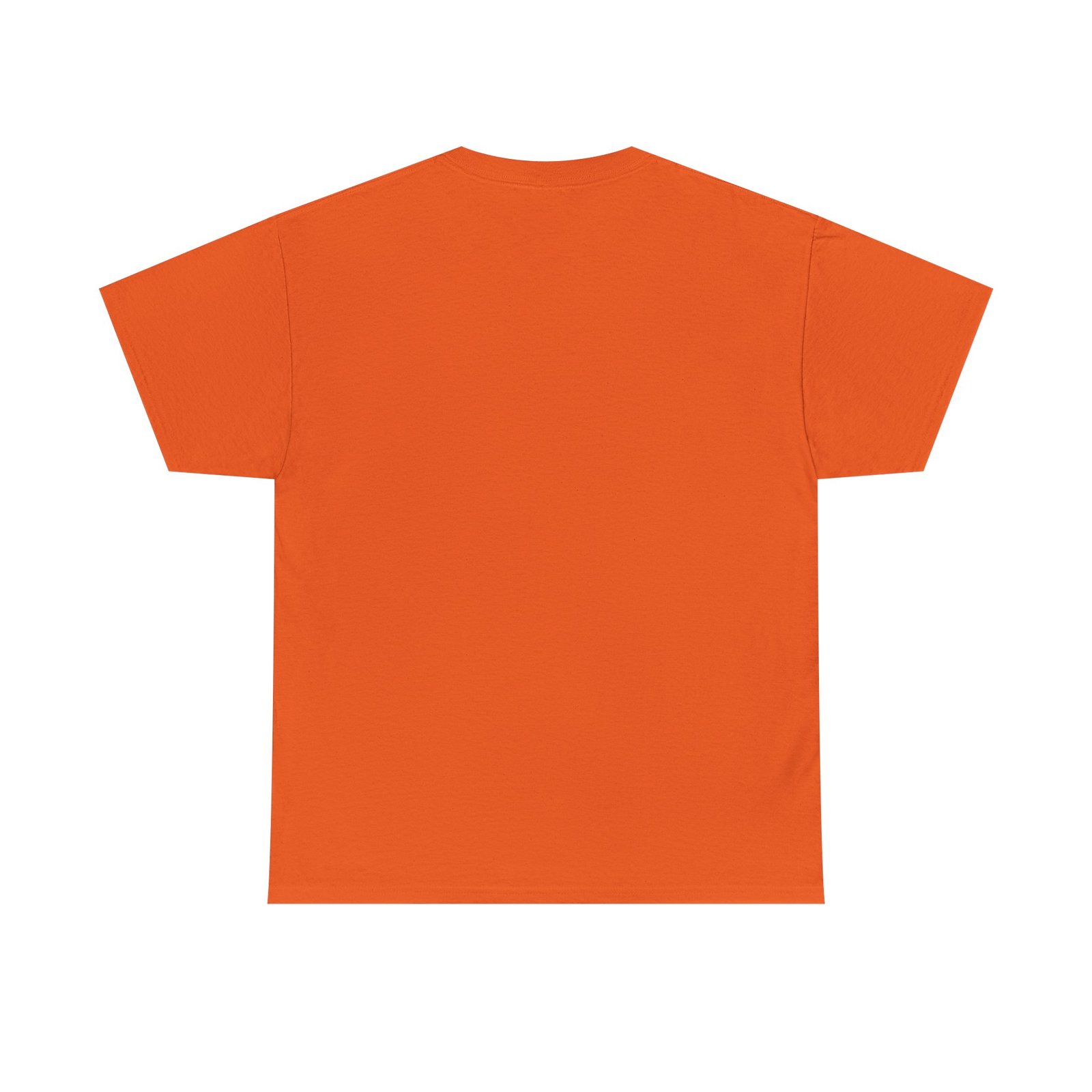 Jalen Brunson & Josh Hart Step Brothers Shirt | New York Knicks Duo Tee | Funny NBA T-Shirt | Basketball Fan Gift | Knicks Shirt - Image 18