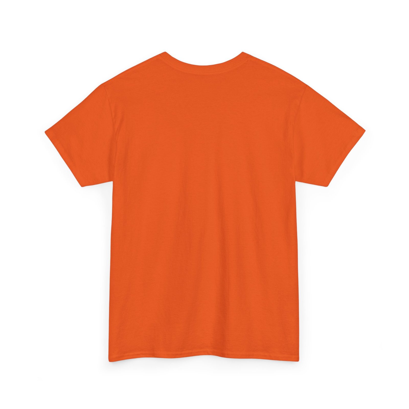 Jalen Brunson & Josh Hart Step Brothers Shirt | New York Knicks Duo Tee | Funny NBA T-Shirt | Basketball Fan Gift | Knicks Shirt - Image 20
