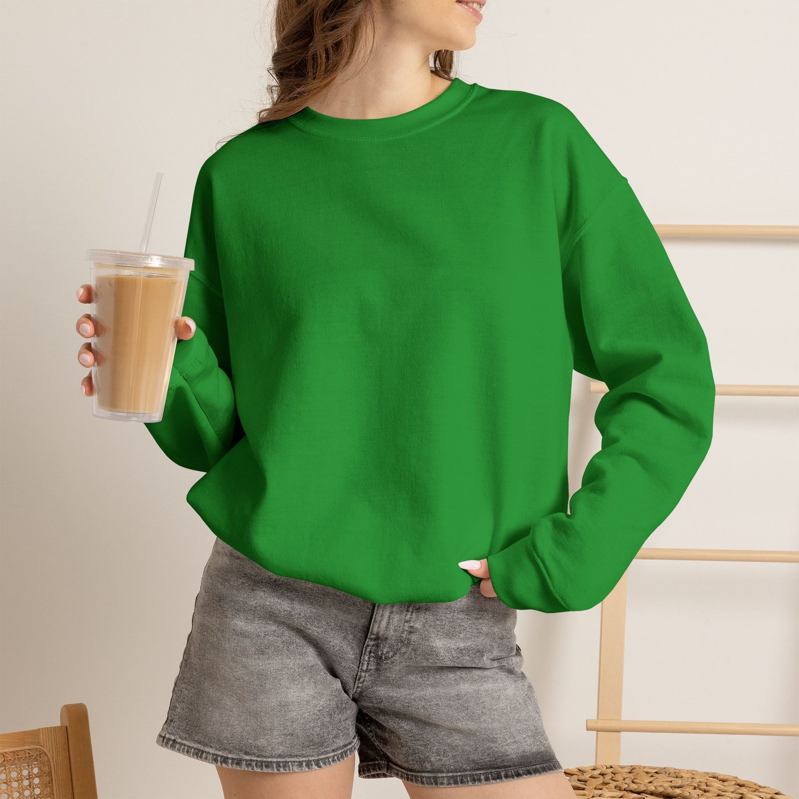 Philly Goose Embroidered Sweatshirt – Philadelphia Football Crewneck, Funny Goose Game Day Pullover, Cozy Green Philly Fan Gift for Men & Women - Image 54